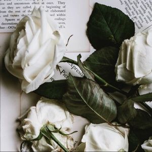 Meet your Posher, Isabella